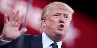 Thank you for standing up for america and for continuing to fight for our freedoms and our constitution! Top Ten Donald Trump Quotes Conservative Book Club