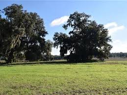 Condos for sale hernando county fl. Hernando County Florida Land For Sale Landflip