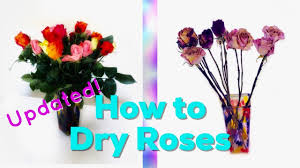 Know a frown that could be upside down? How To Dry Roses Updated Video Youtube