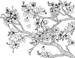 Pin On Adult Coloring Pages At Coloringgarden Com Cherry blossom flora painting classical branch decor. pin on adult coloring pages at