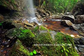 We did not find results for: Wow Bukan Wisata Di Belitung Air Terjun Dan Kolam Alami Ini Ada Di Pulau Bangka Enjoybangka