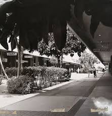 Pin On Downey