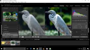 As with most other paid apps, interested users can also download the latest adobe photoshop version and use it for free for a limited time. Adobe Photoshop Lightroom Cc Full