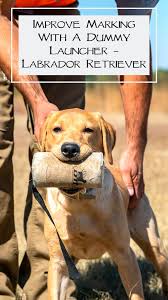 Pin On Standing Stone Kennels