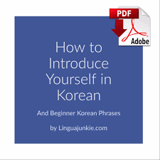 Of the korean language per the related revised romanization of korean . Korean Phrases How To Introduce Yourself In Korean
