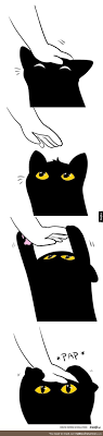 Pin On Cats