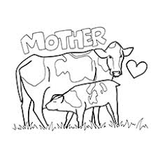 Free printable cute cow coloring pages for kids of all ages. Top 15 Free Printable Cow Coloring Pages Online