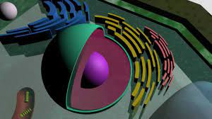 Maybe you would like to learn more about one of these? 3d Plant Cell Youtube