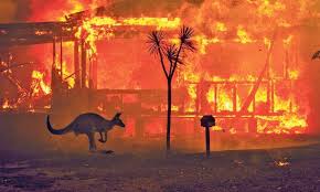 Resultado de imagem para incendio na australia