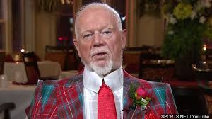 Hockey commentator Don Cherry fired for rant over immigrants