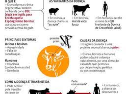 A doença degenerativa é provocada pelo acúmulo de um . Familia Nao Foi Isolada De Paciente Com Doenca Semelhante A Da Vaca Louca Cidadeverde Com