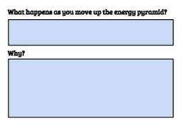 Trophic levels trophic level where it gets food example 1st trophic level: Google Slides Energy Pyramids And Trophic Levels Click And Drag Activity