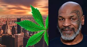 Deretan Bisnis dan Perusahaan Mike Tyson yang Menggemparkan