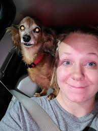 HE HAS BEEN FOUND! Please keep an eye out for this little guy. His name is  Ollie. He is a 1 year old merle French Bulldog. He ran off in the E.