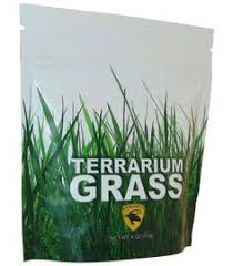 Lugarti Terrarium Grass Tortoises Tortoise Russian Tortoise Diet