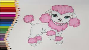Aveti sansa de a colora imagini cu personajele voastre preferate din desene animate. Desenez Un Catel Pudel Animale Domestice Caine De Desenat Colorat Youtube