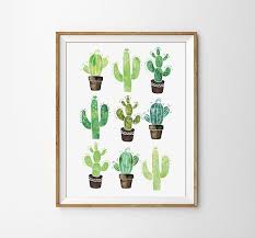 The old lady cactus (mammillaria hahniana) is native to mexico and named for the fine white hairs that cover the bulk of the cactus. Poster Cactus Estilo Acaruela Cuadros Cactus Suculentas Decoracion Hogar Impresion De Cactus Cactus Dibujo Fondo De Pantalla De Ninos