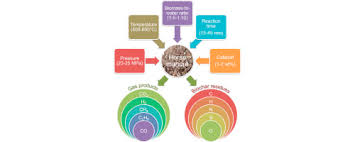 Check spelling or type a new query. Valorization Of Horse Manure Through Catalytic Supercritical Water Gasification Sciencedirect