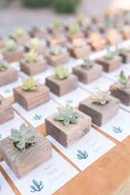 Succulent Favors 100 Layer Cake Gastgeschenke Hochzeit Gastgeschenk Hochzeit Ausgefallen Hochzeitsandenken