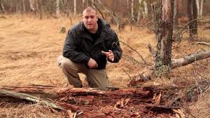 Check spelling or type a new query. How To Start A Fire With Wet Wood Cut The Wood