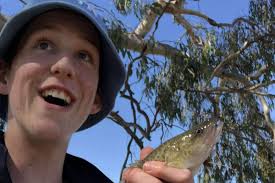 Fundraiser by Damian Armstrong : Help Kyan Complete His Truck, Costs and  research