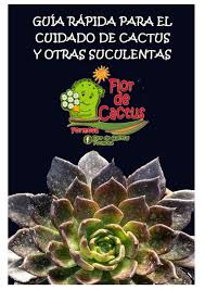 Esta infección por hongos afecta principalmente a personas que están tomando medicamentos para otros problemas de salud que reducen su capacidad para combatir patógenos ambientales, explicaron. Guia Rapida Para El Cuidado De Cactus Y Otras Suculentas By Ernesto Rivarola Issuu
