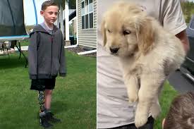 This sweet boy has been through so much to get beautiful and healthy enough f. Minnessota Boy With Prosthetic Leg Gets Puppy Born Without Paw People Com