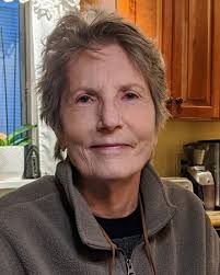 Obituary for Denise J. Petri