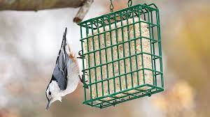 It can include bird seed, oats or even cereal, you can also add mealworms, peanuts or fruits to attract a variety of common garden birds. How To Make Your Own Suet Cakes Garden Gate
