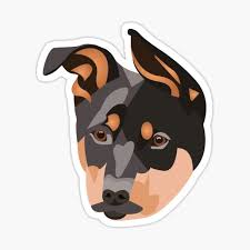 Beach themed christmas decorations australian kelpie. Australian Kelpie Gifts Merchandise Redbubble