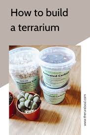 How to build a terrarium. How To Build A Terrarium Build A Terrarium Terrarium Diy Succulent Terrarium