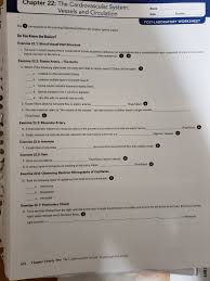 Solved Chapter 22 The Cardiovascular System Vessels And Chegg Com