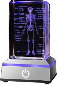 As a displayed 3d model used in a mobile phone application as long as the original content is protected from extraction. Amazon Com Ifolaina Human Skeleton Model Body 3d Laser Crystal Skeleton System Each Bone With Name On A Colorful Led Light Base For Study Guide Toys Games