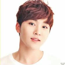 Seungkwan (seventeen) lyrics mit übersetzungen. Appreciation Post Boo Seungkwan K Pop Amino