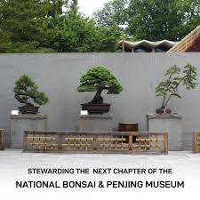 Friends of the National Arboretum is honored to carry forward the legacy of  the National Bonsai Foundation @nbfbonsai (NBF), which will conclude its  operations at the end of this month after more