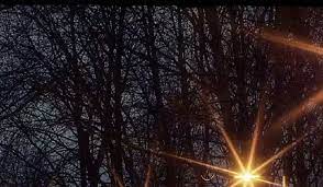 Alam tidak ada hentinya untuk selalu memberikan keindahan kepada seluruh makhluk hidup. Paling Populer 14 Background Keren Pemandangan Keren Taman Pemandangan Malam Wallpaper Sc Android From Wallpaper Sc 1 Pemandangan Kota Pemandangan Gambar