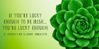 St patrick's day 2021 flowers. Green Plants And Flowers For St Patrick S Day