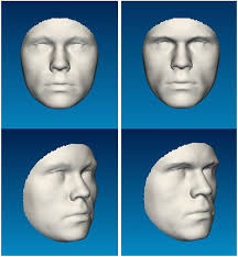 Effects of Male Facial Masculinity