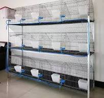 Animal Cage 9/12/18 Cells Commercial Galvanized Rabbit Breeding Cages In  Zimbabwe Kenya - AliExpress