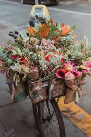 We did not find results for: Hd Wallpaper Assorted Color Flowers In Bike Basket Jar Vase Pottery Potted Plant Wallpaper Flare