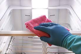 The Best Way To Clean Glass Refrigerator Shelves Step By Step Wigglywisdom Com