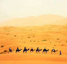 So all you need to do is mail us and we will take care. Morocco Desert Tours Camel Trek Excursions Sahara Trips Company