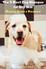 The 5 Best Dog Shampoo For Dry Skin Reviews In Year The Great Pets In 2020 Dog Shampoo Best Dog Shampoo Best Dogs