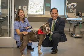 Alternatively, you may enter a specific animal name or animal. First Center For Shelter Medicine Opens San Diego Humane Society