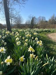 We did not find results for: Der Garten Der Sinne In Merzig Offnet Ab 1 April Landkreis Merzig Wadern