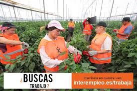 We did not find results for: Loc De Munca Agricultura Prin Interempleo El Rocio Spania Roeu