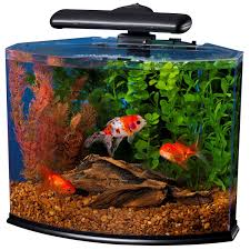 Tetra Crescent Desktop Aquarium Kits Aquarium Kit Fish Tank Betta Fish Tank