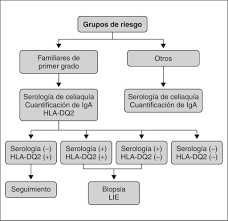 Marcadores Serologicos Y Geneticos En El Diagnostico Y Seguimiento De La Enfermedad Celiaca Anales De Pediatria