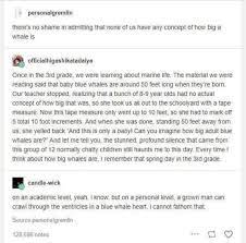 Pin By Aimee Court On Memes Tumblr Funny Funny Tumblr Posts Funny Memes