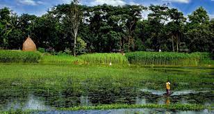 The following download links are zip files. Bangladesh Google Search